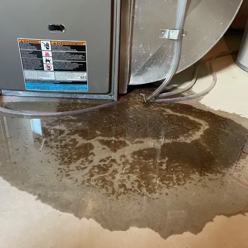 Appliance Leak Cleanup in Hardin, IL